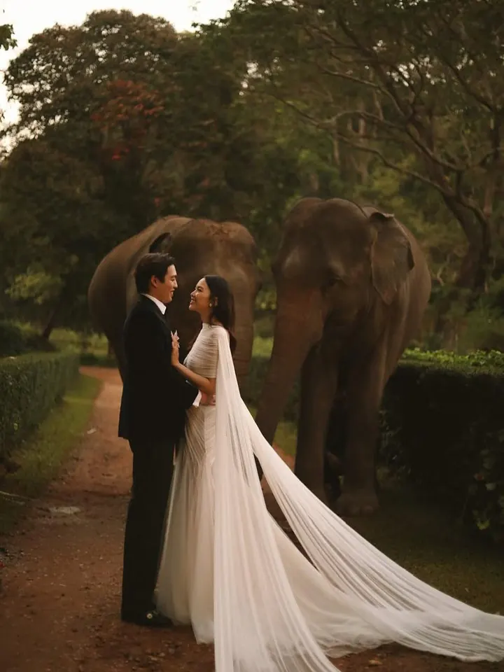 A bride and groom embracing on a garden path with two elephants behind them, her draped cape trailing